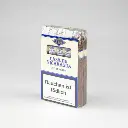 casa_de_nicaragua_torpedo_1.webp