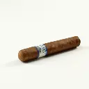 casa_de_nicaragua_robusto_3_.webp