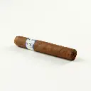 casa_de_nicaragua_robusto_2_.webp