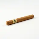 dominico_corona_6_.webp