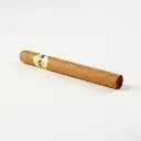 dominico_corona_2_.webp