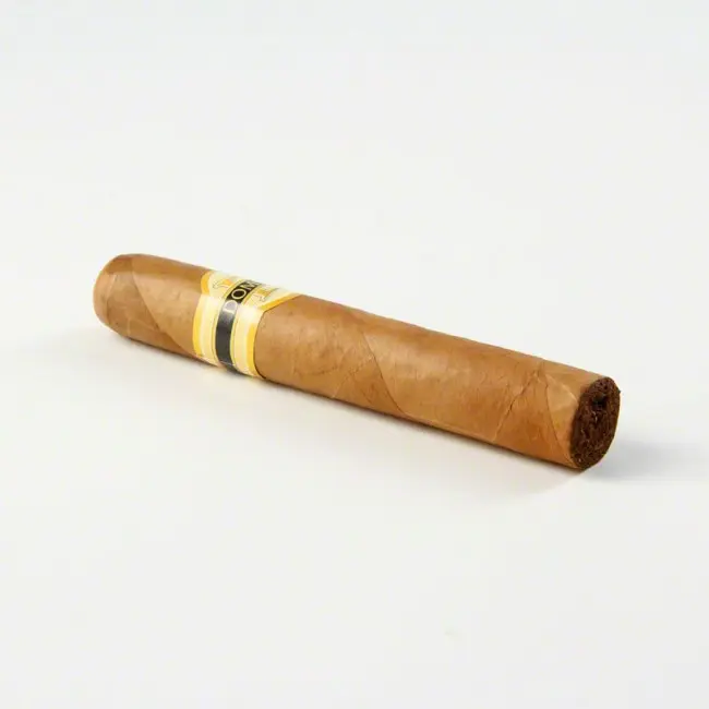 dominico_robusto_3_.webp