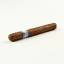casa_de_nicaragua_corona_3_.webp