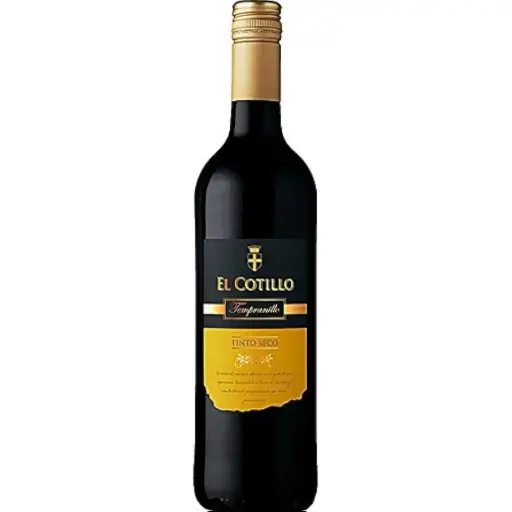 El Cotillo Tinto Seco Tempranillo Trocken Rot 0,75l 